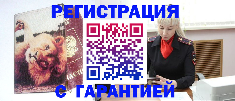 прописка от собственника в Моздоке